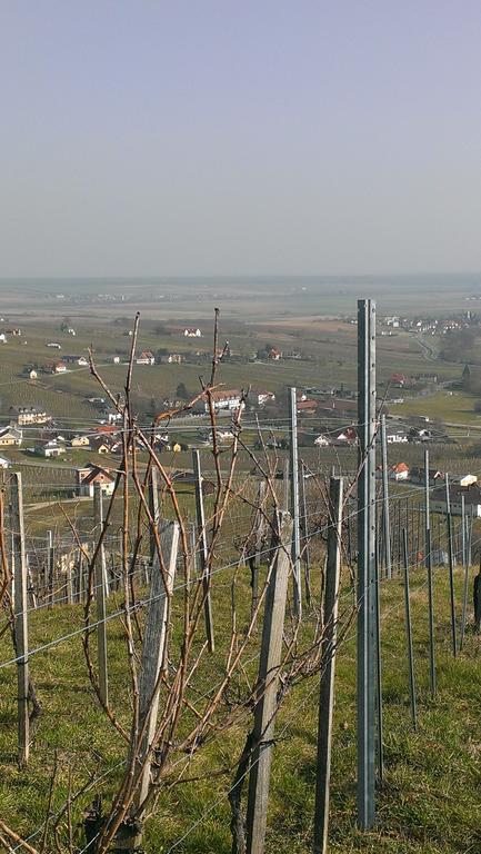 Kellerstoeckl Kamper Villa Eisenberg an der Pinka Exterior foto