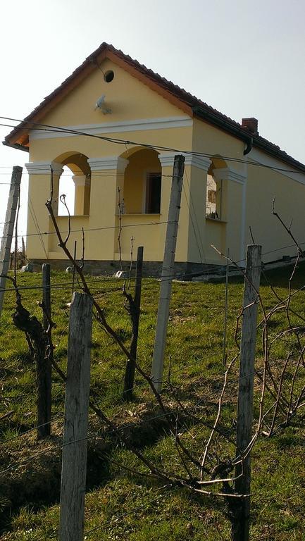 Kellerstoeckl Kamper Villa Eisenberg an der Pinka Exterior foto